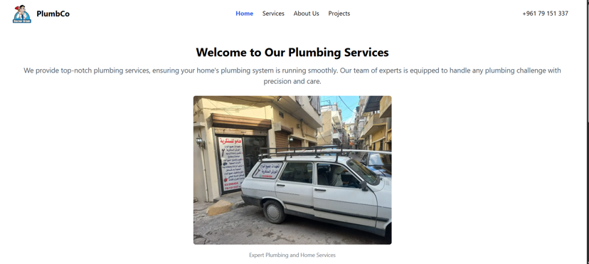 Plumbing Services Website